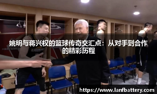 完美体育